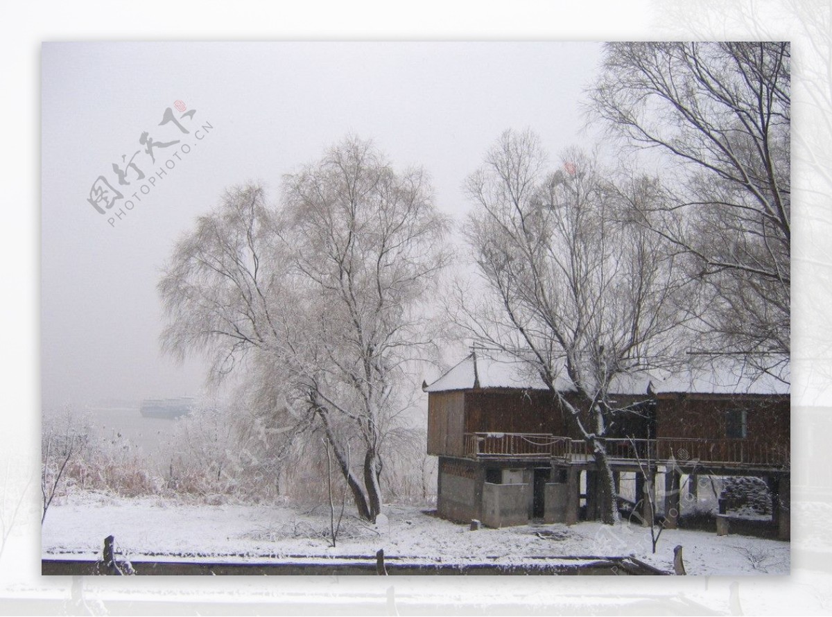 雪景柳林图片