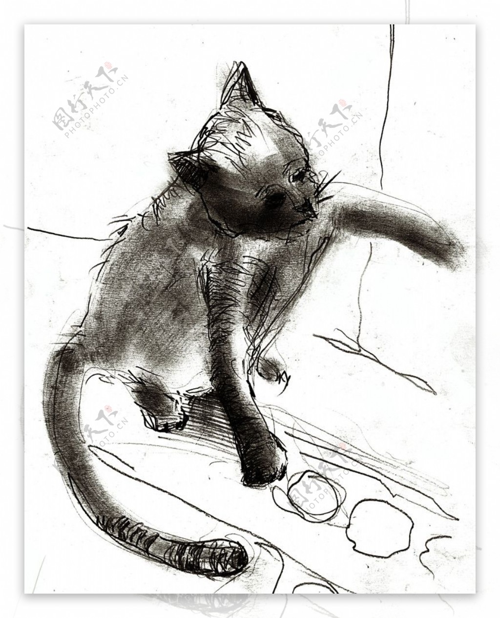 手绘线条小猫图片