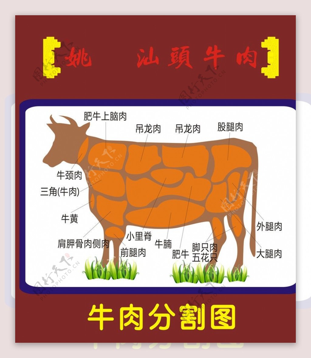 牛肉分割图图片
