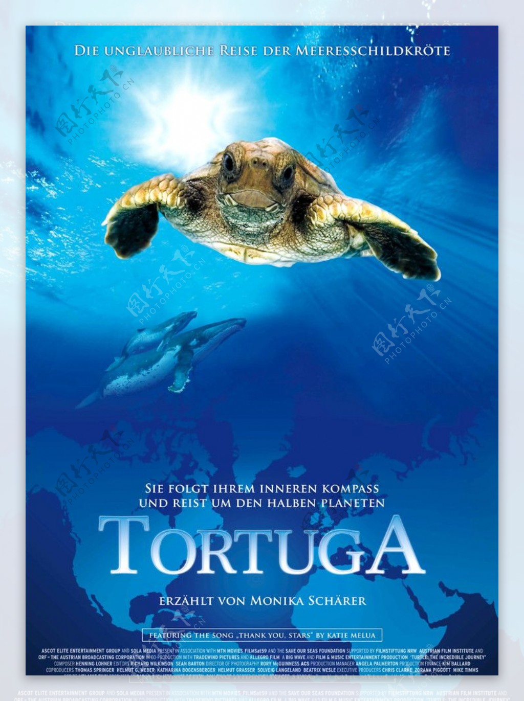 海龟奇妙之旅电影海报图片