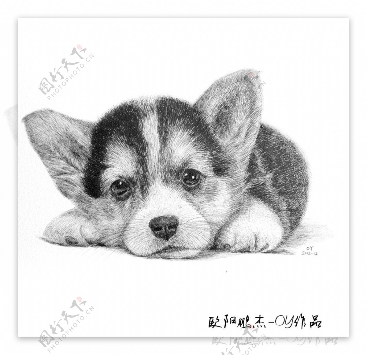 钢笔绘画小狗图片