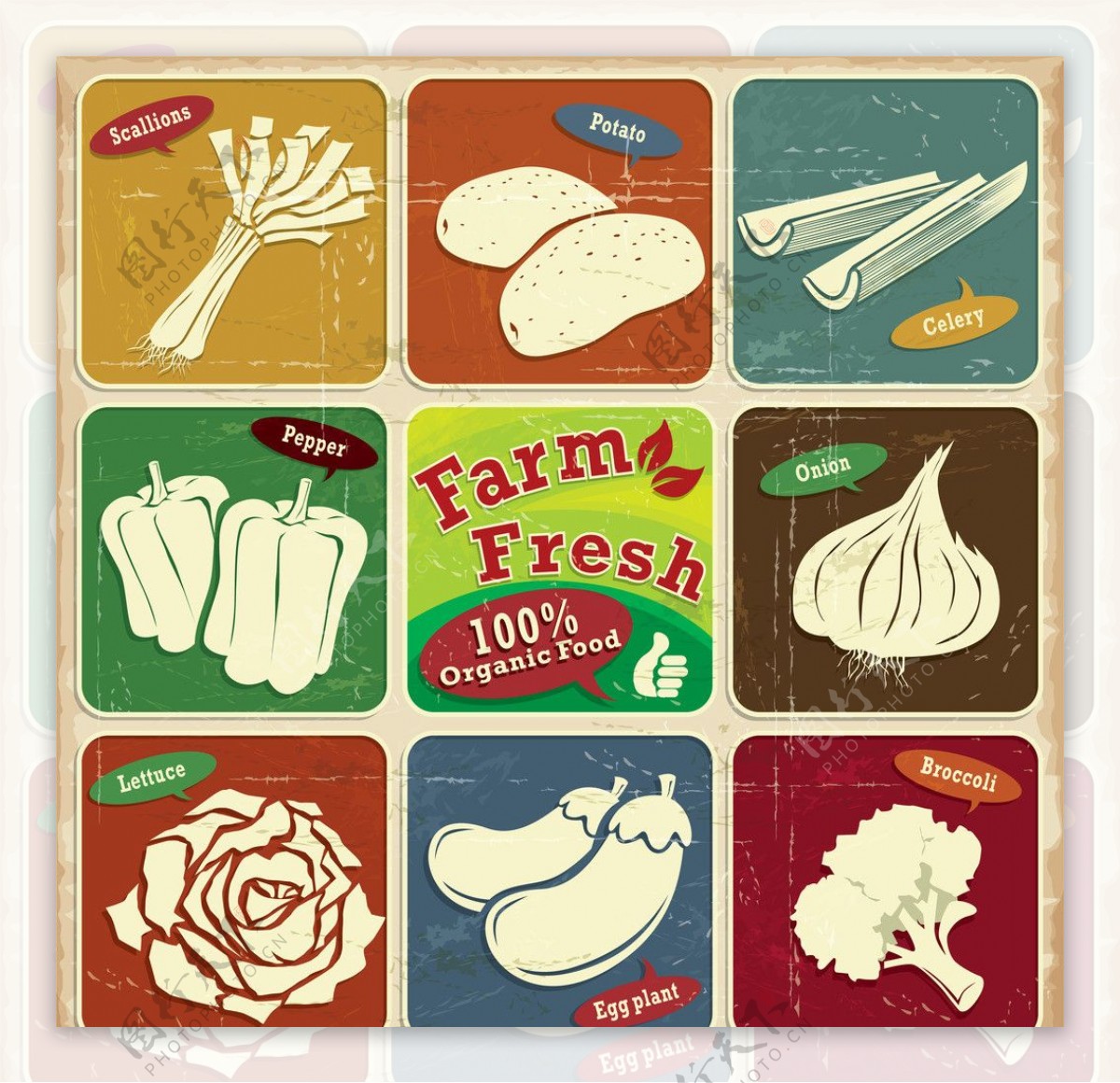 复古蔬菜标签图片