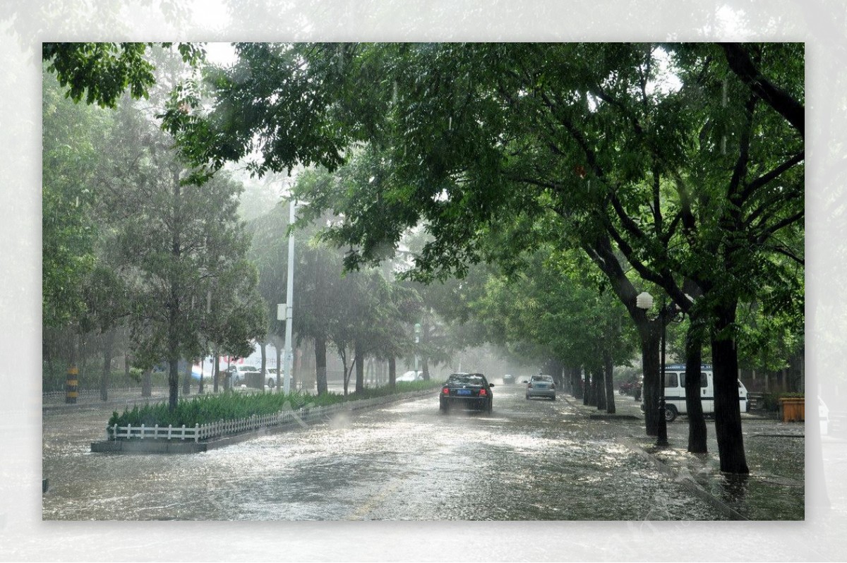 青州雨中街景图片