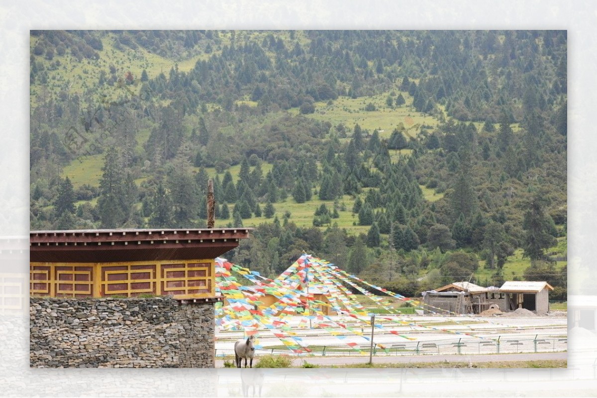 西藏林芝牧场风光图片