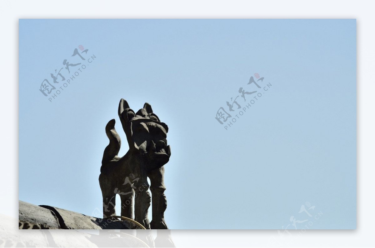 丽江屋顶上的瓦猫图片