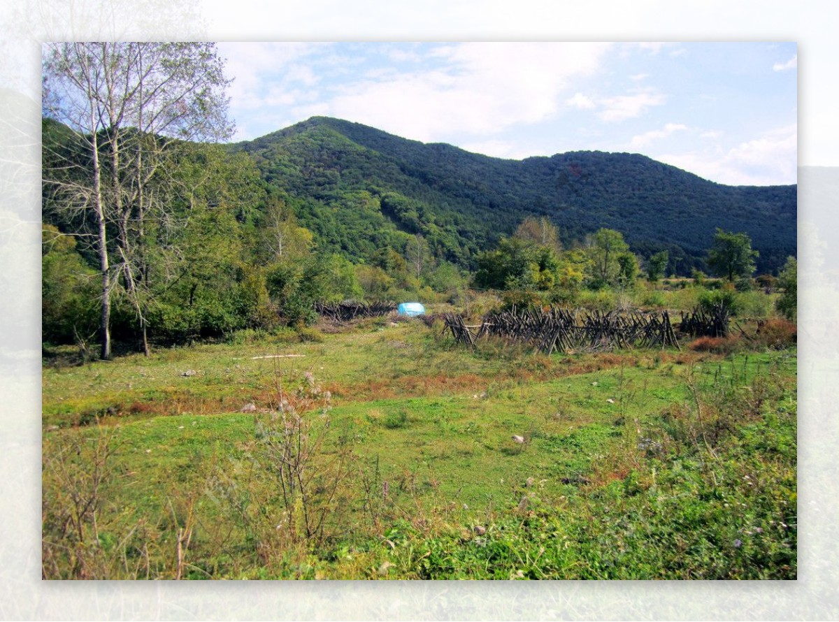 野山深处木耳架图片