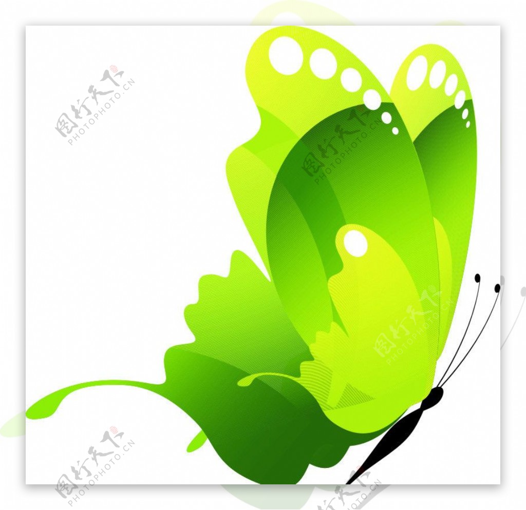 绿色春天气息环保蝴蝶图片