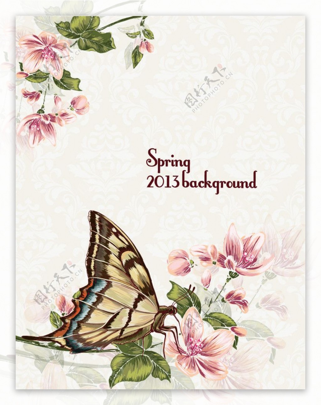 春天蝴蝶花朵背景图片