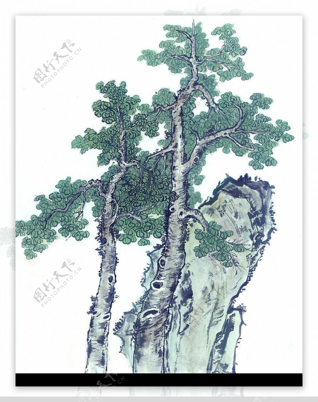 古画树木图片