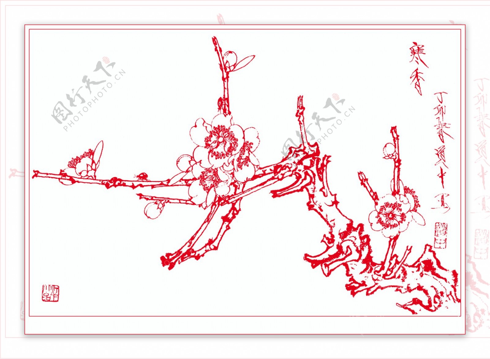 白描梅花图片