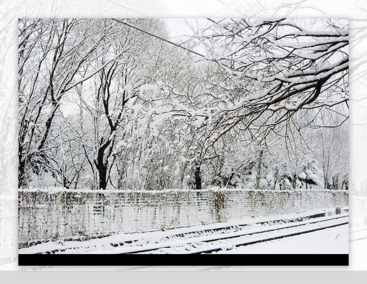 雪景2图片