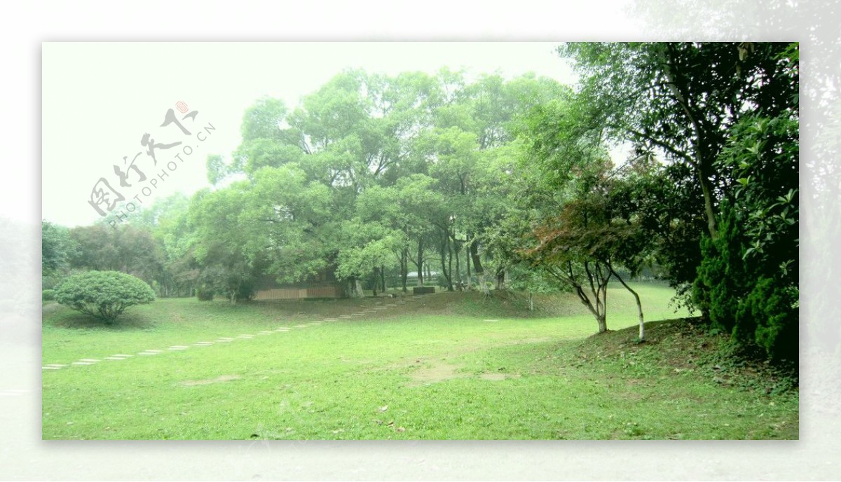 湘潭菊花塘公园的自然风景图片