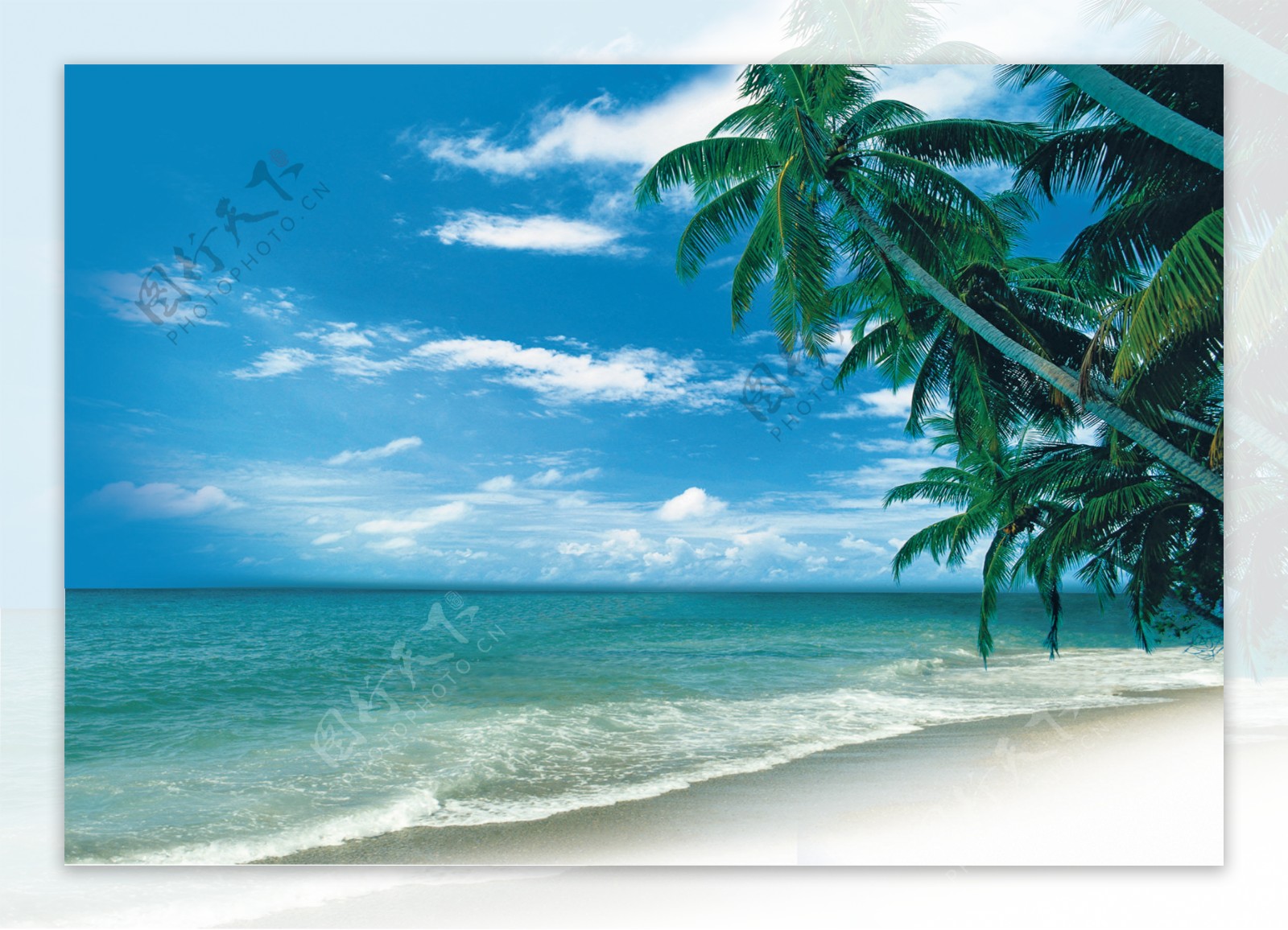 湛蓝海天椰树海滩图片