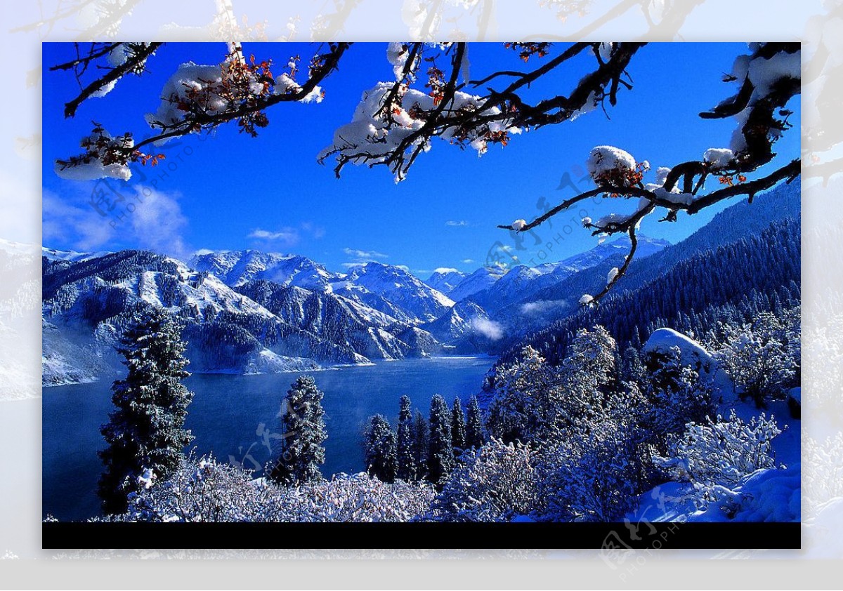 新疆雪景图片