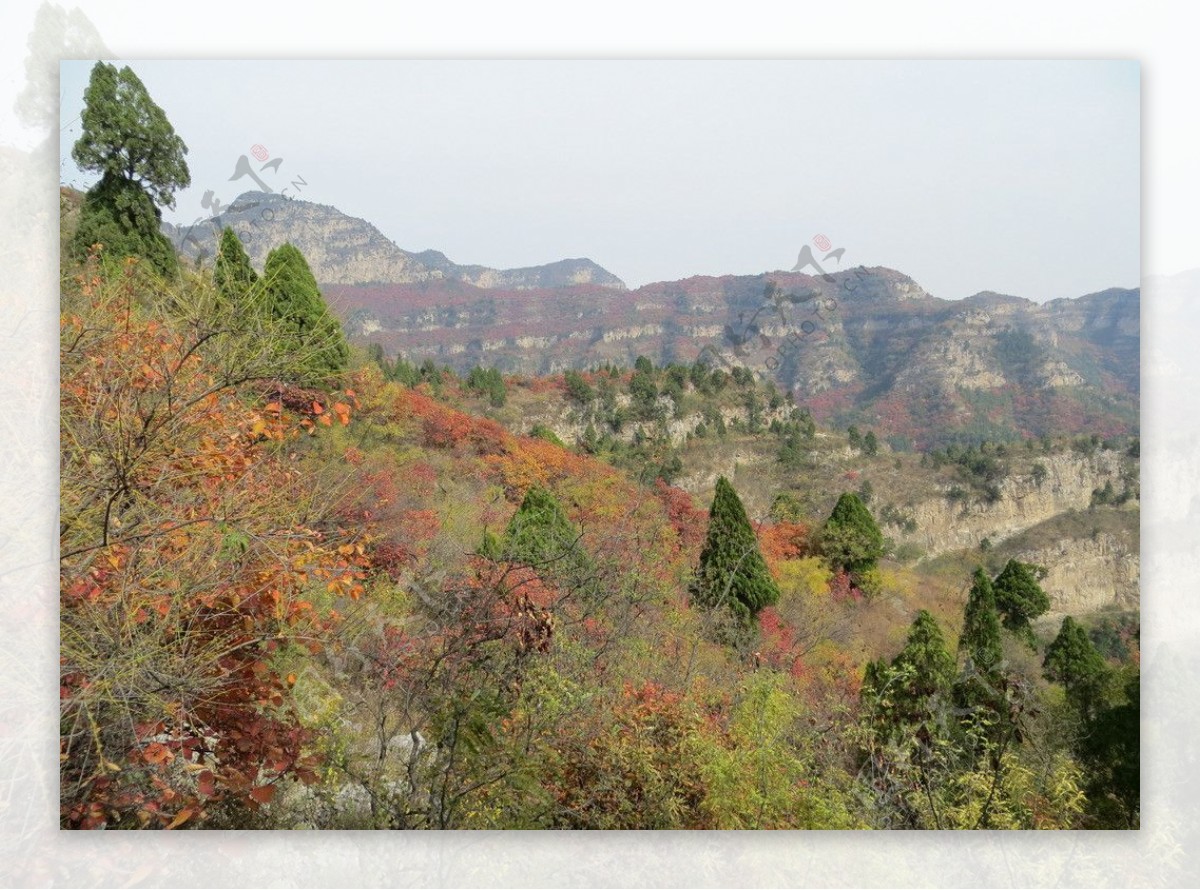 仙台山秋色图片