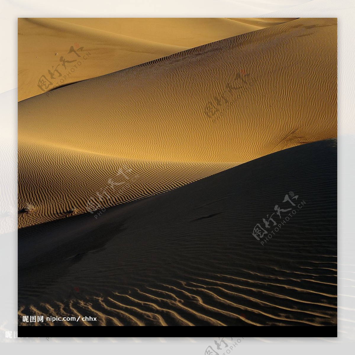 沙漠剪影图片