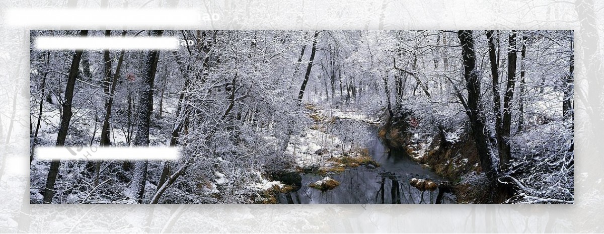 小溪雪景图片