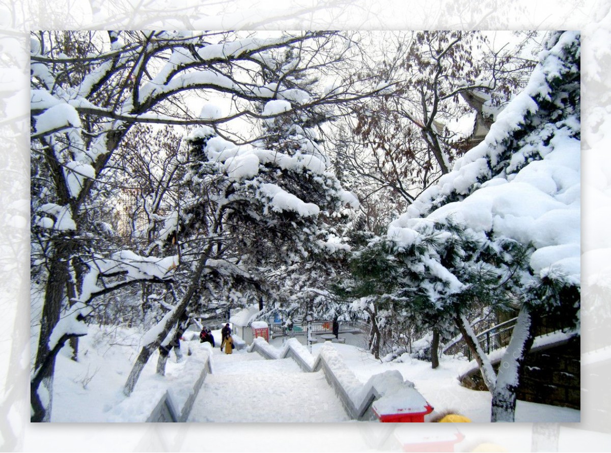 雪景图片