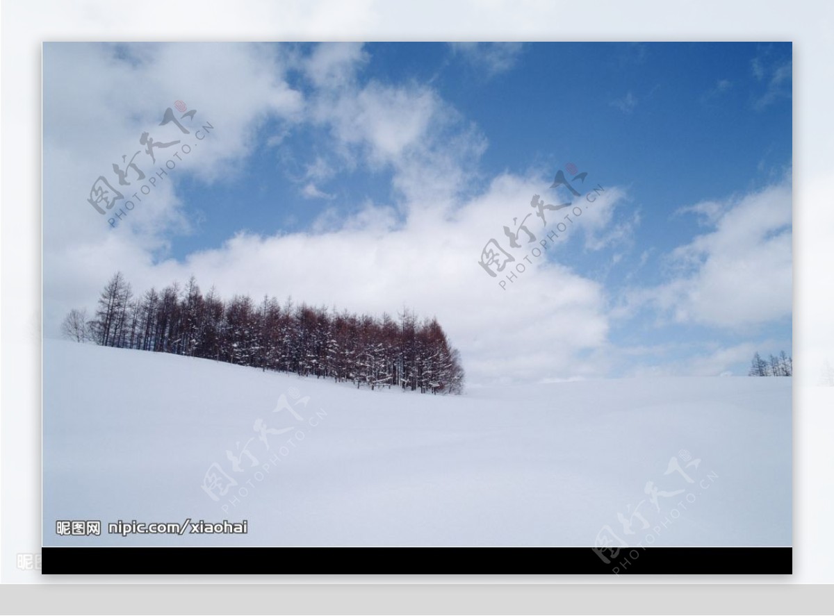 雪景桌面图片