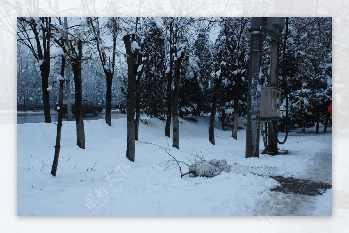 雪景图片