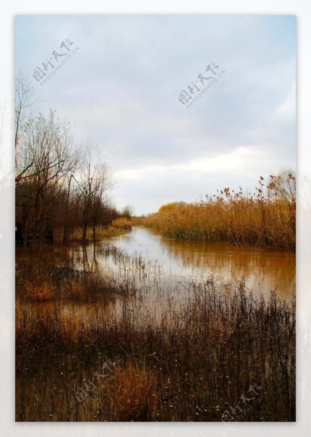 崇明西沙湿地图片
