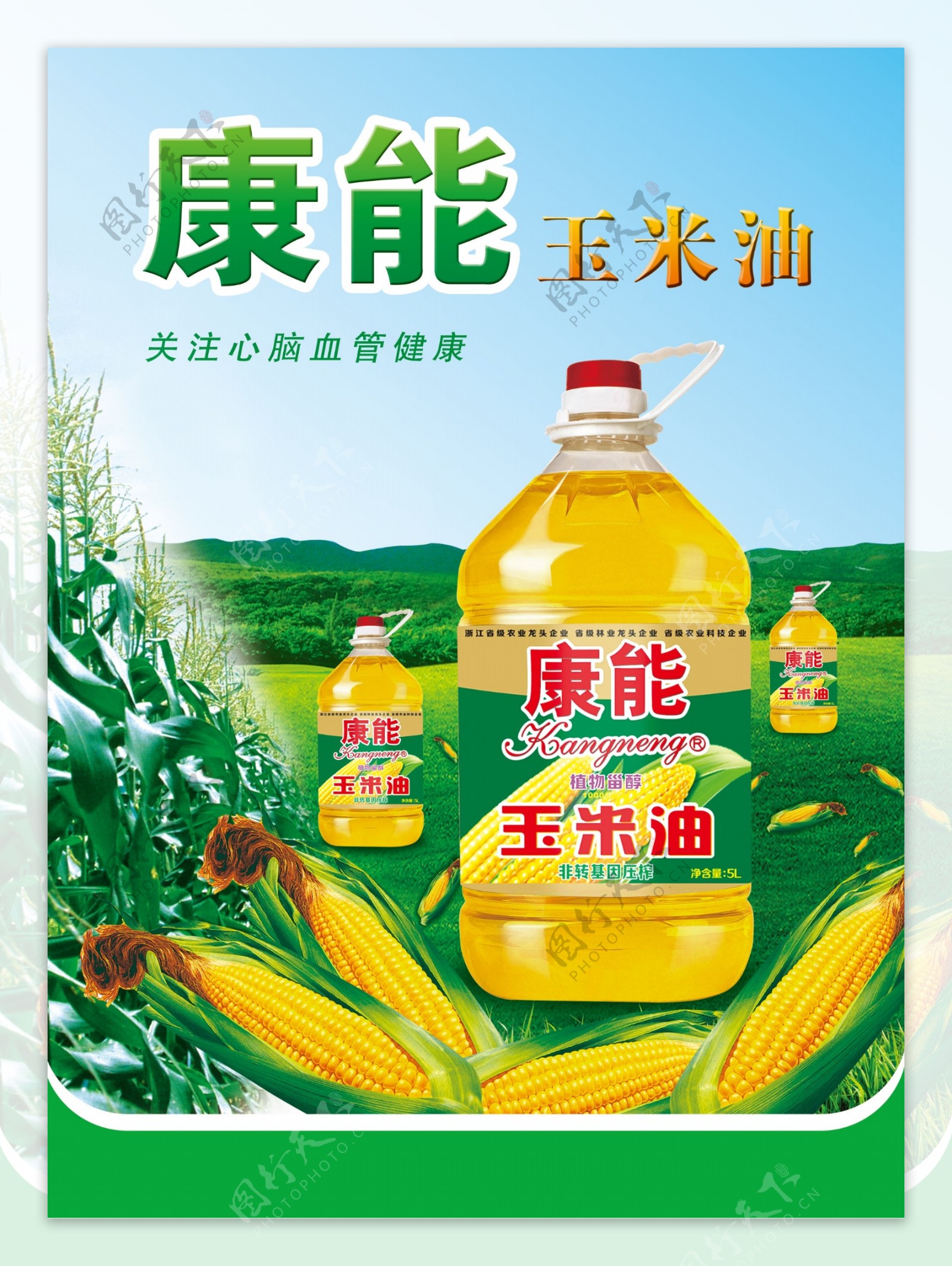 康能玉米油图片