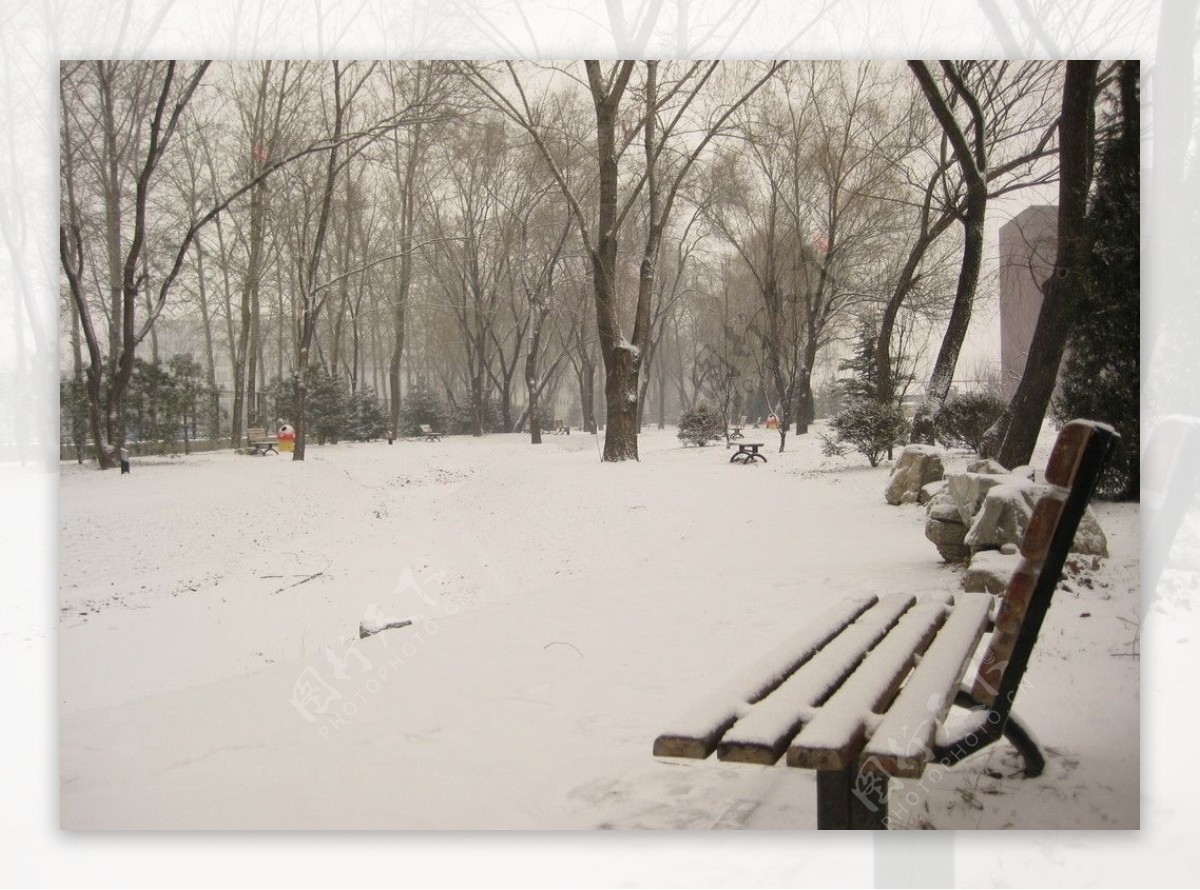 校园雪景图片