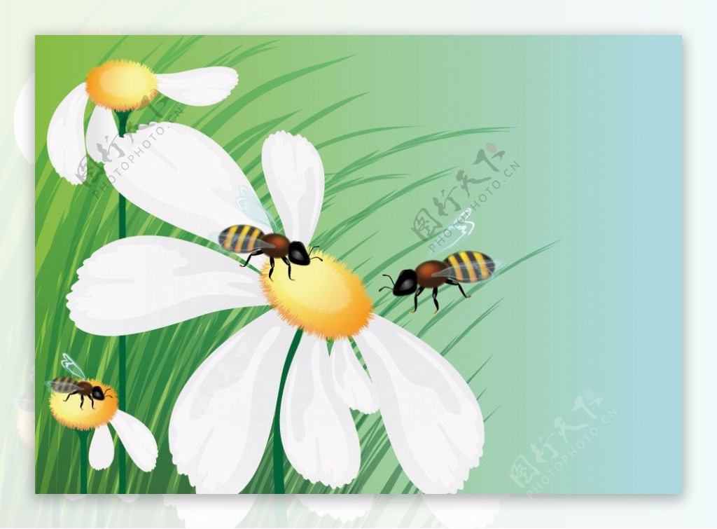 自然梦幻花纹花朵蜜蜂图片