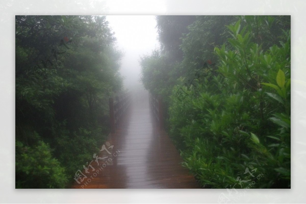 山雨中图片