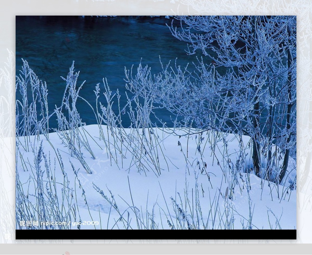 白色冬景小河流水树桂图片