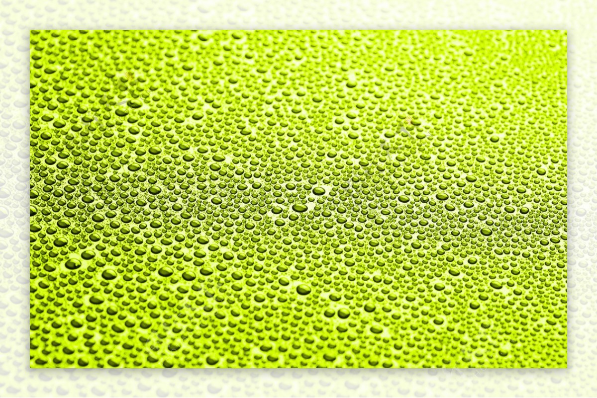 绿色水珠水滴图片