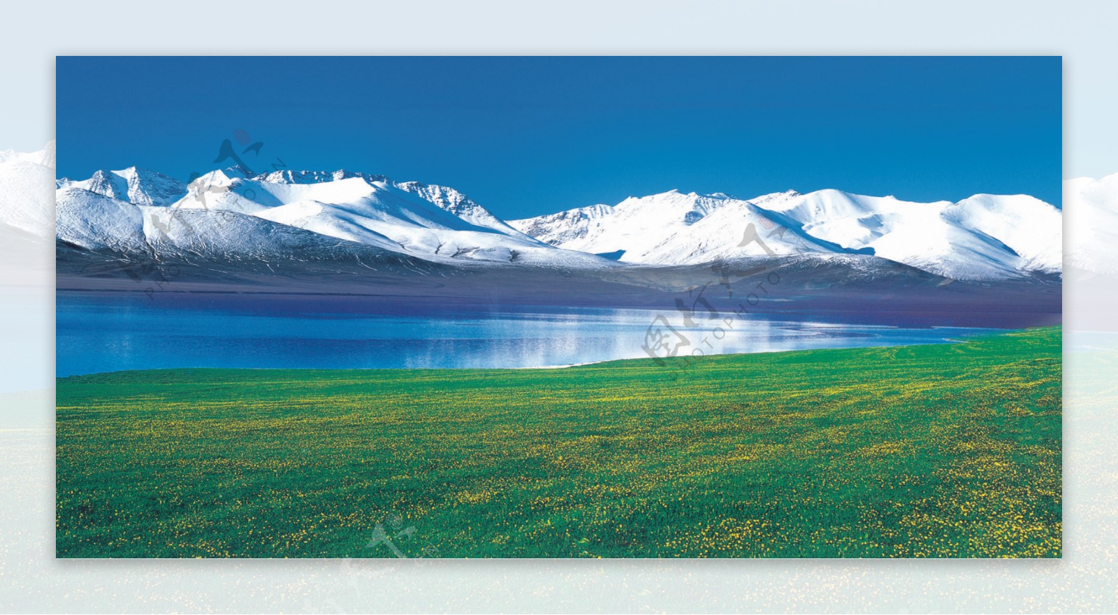 新疆雪山草地图片