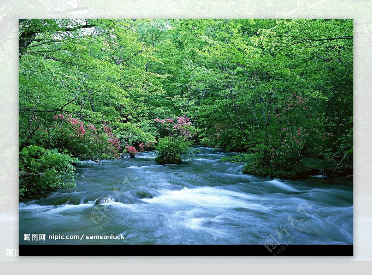 季节景致溪流水源8图片