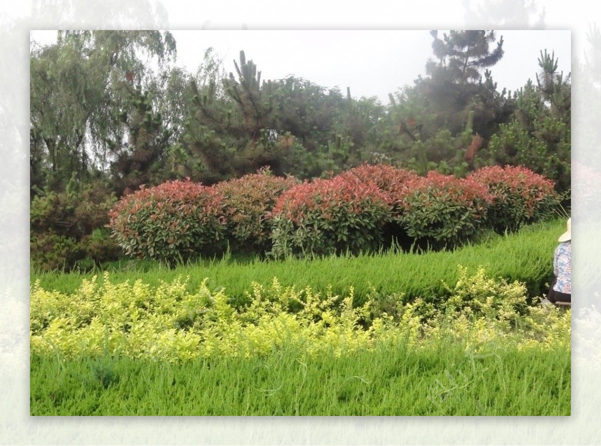 日照万平口风景图片