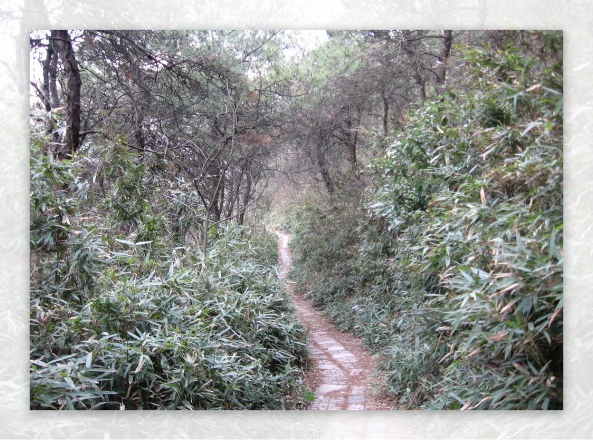 香山采香径图片