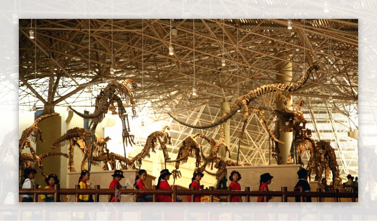 恐龙谷恐龙骨架图片
