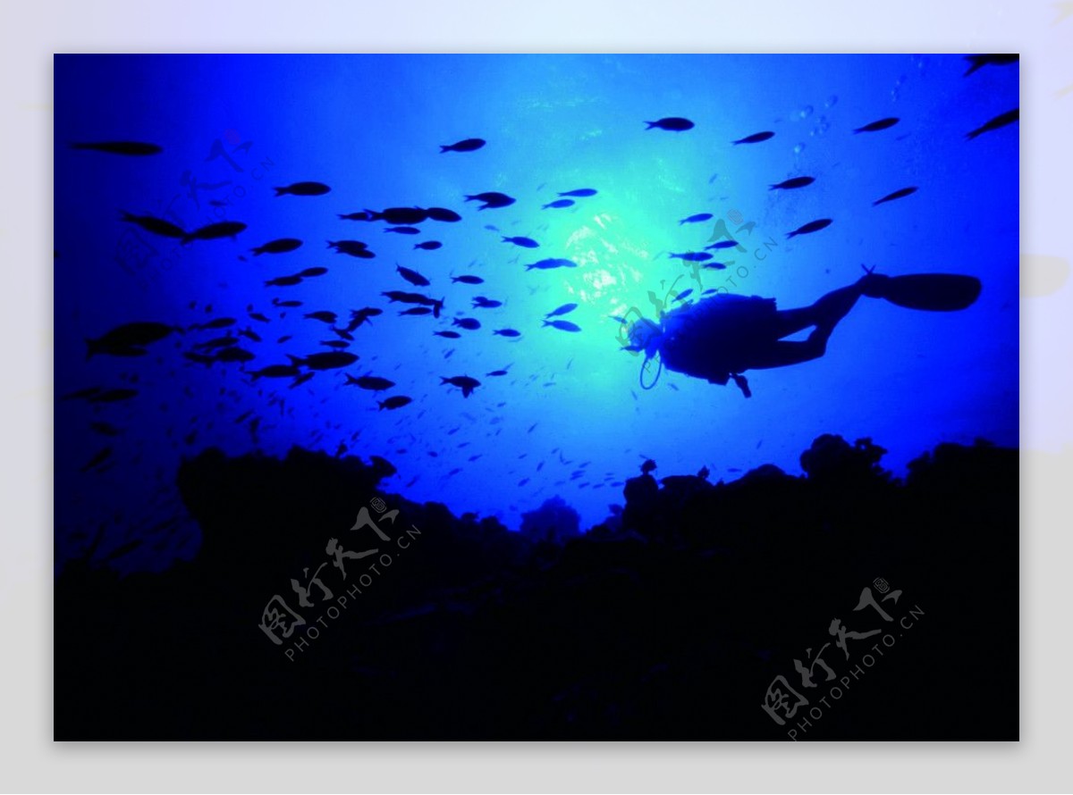潜水员海底自然摄影图片
