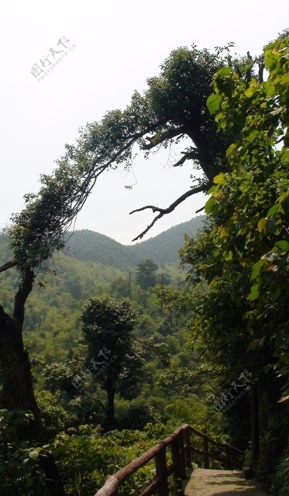 风景图片