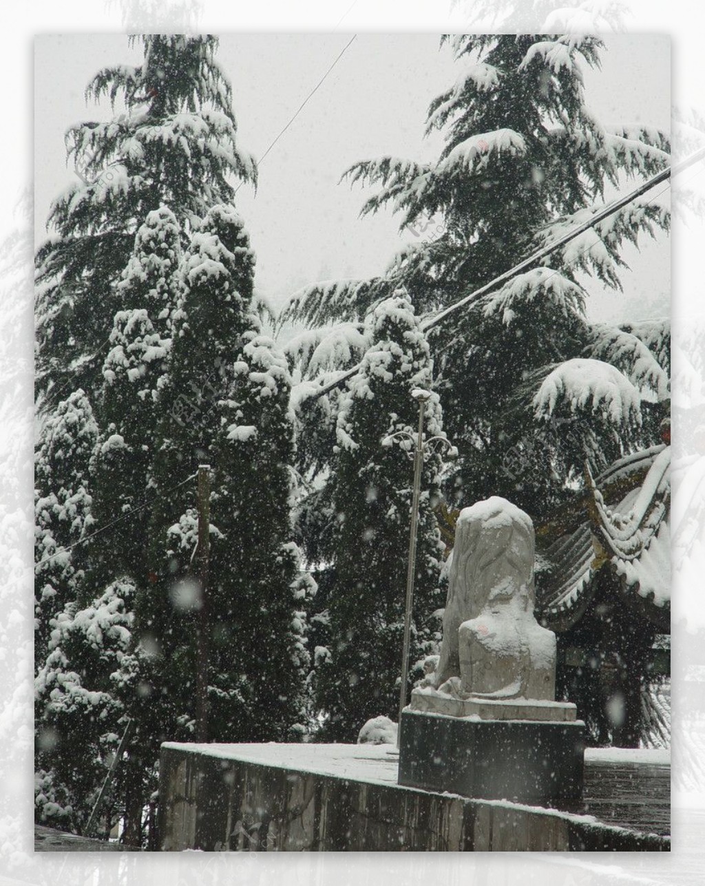 唐家河雪景图片