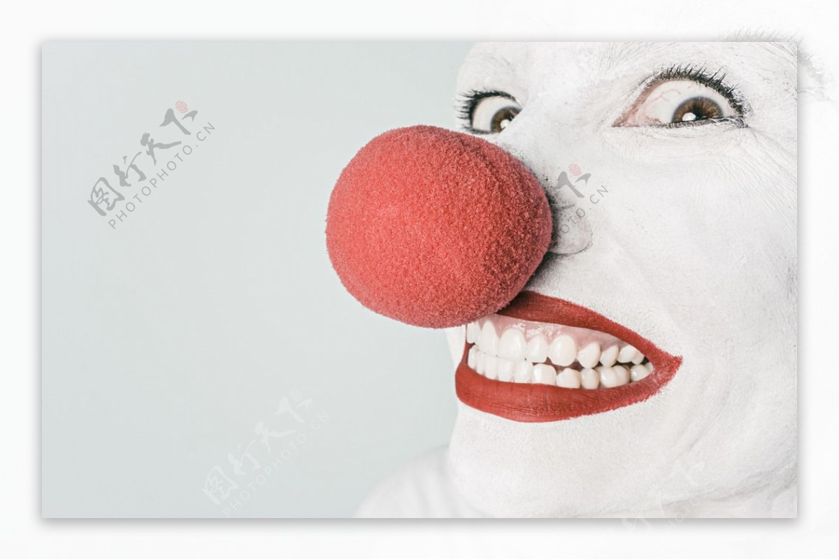 红鼻子小丑图片