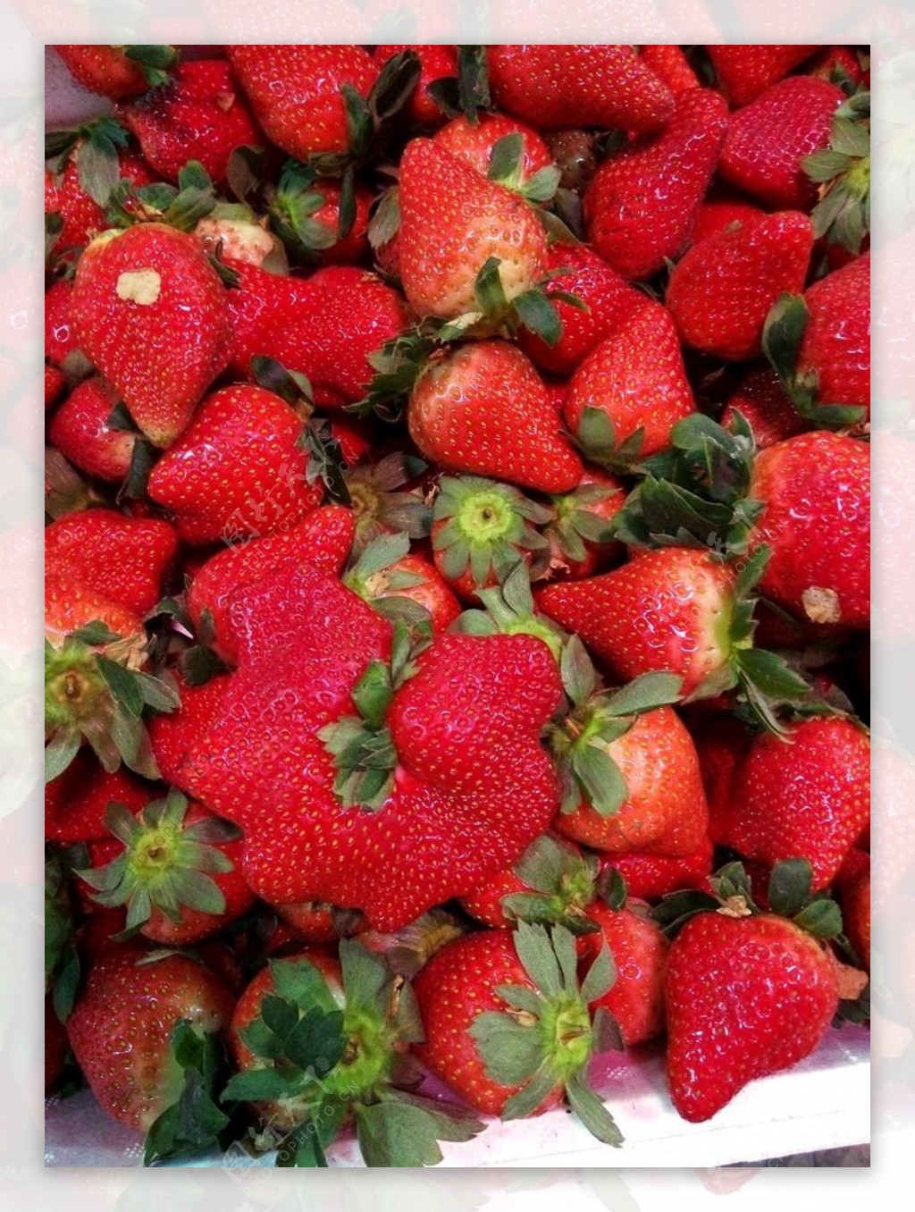 奇特的红色草莓图片
