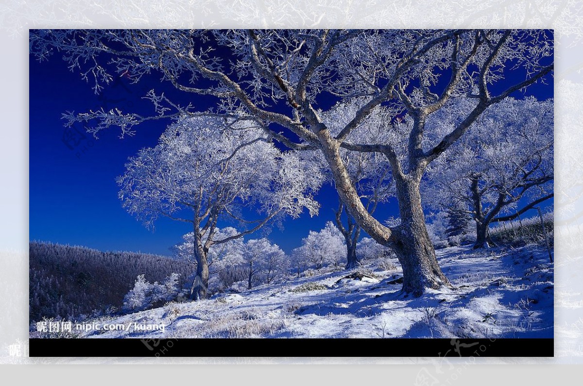 蓝天雪景图片