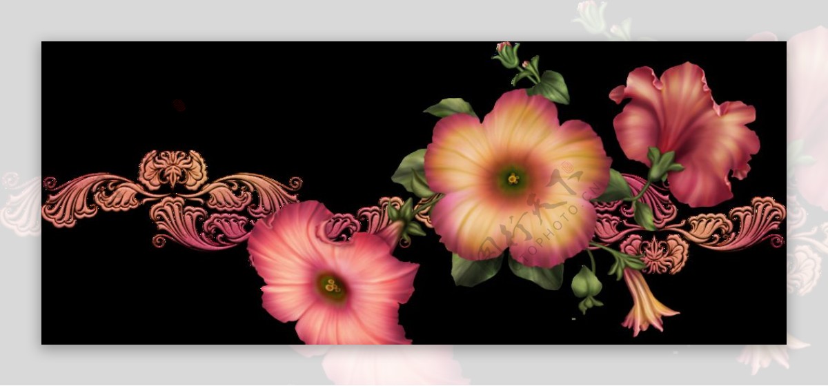 欧式花纹花卉图片