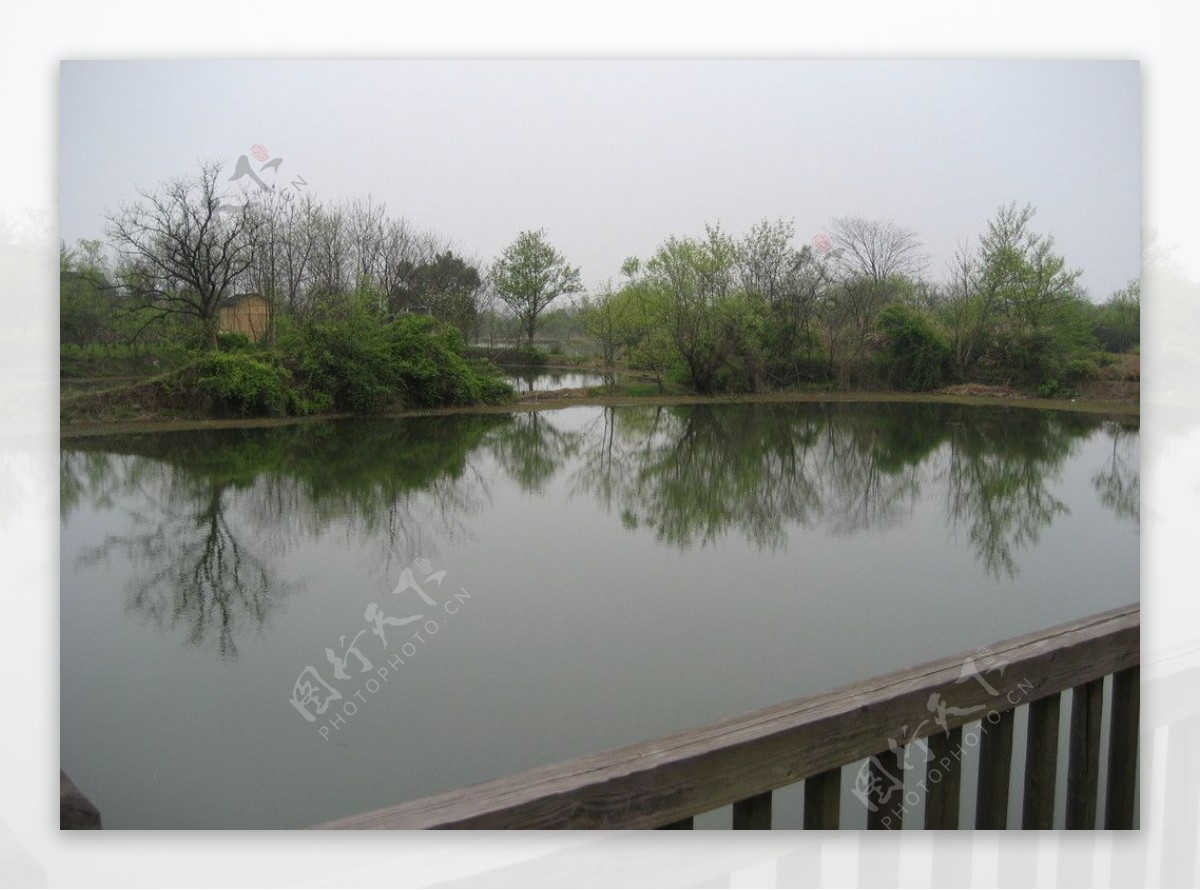 西溪湿地水景图片