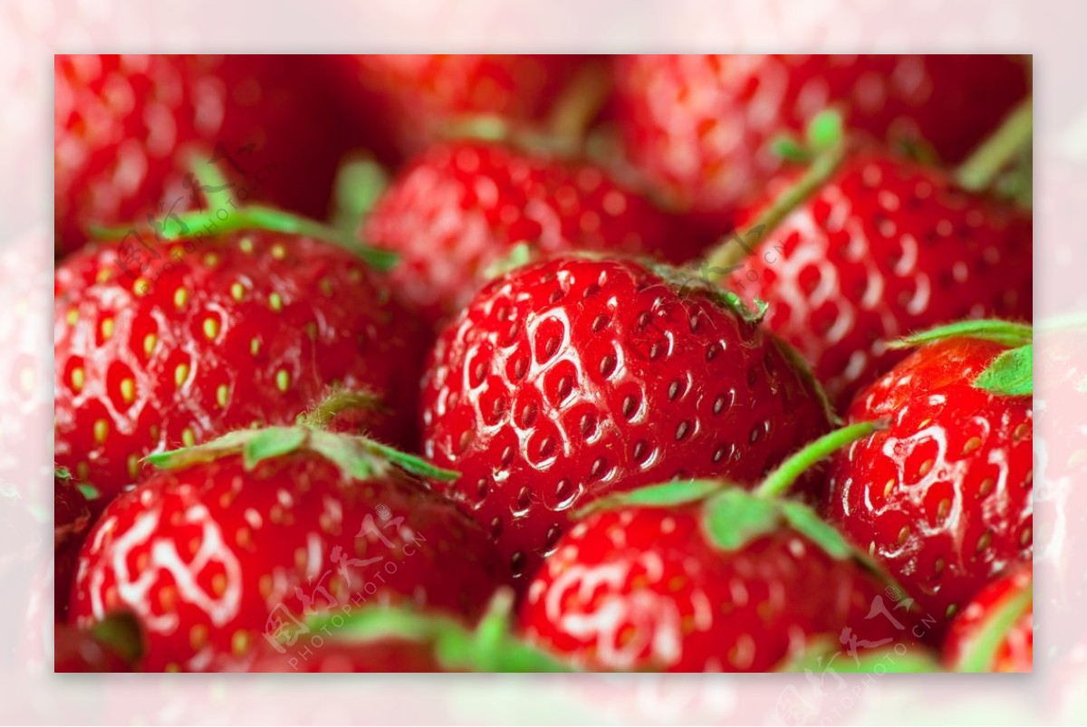 水果 草莓52901_草莓特写_收获季节_图库壁纸_68Design
