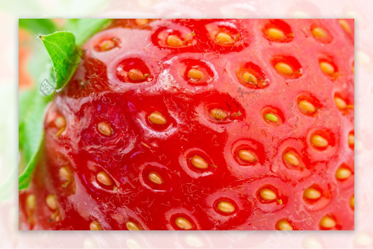 草莓微距图片