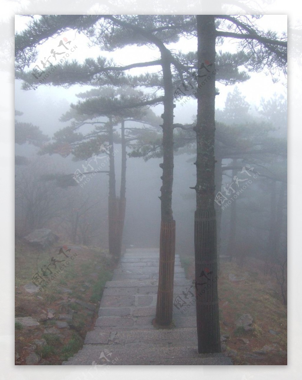 雾中黄山道图片