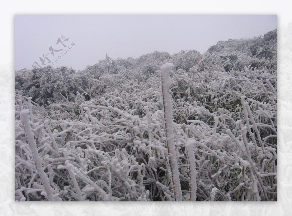 雪景图片