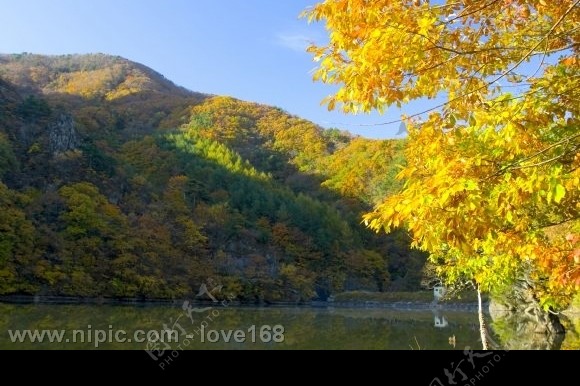 美丽湖泊小山树林图片