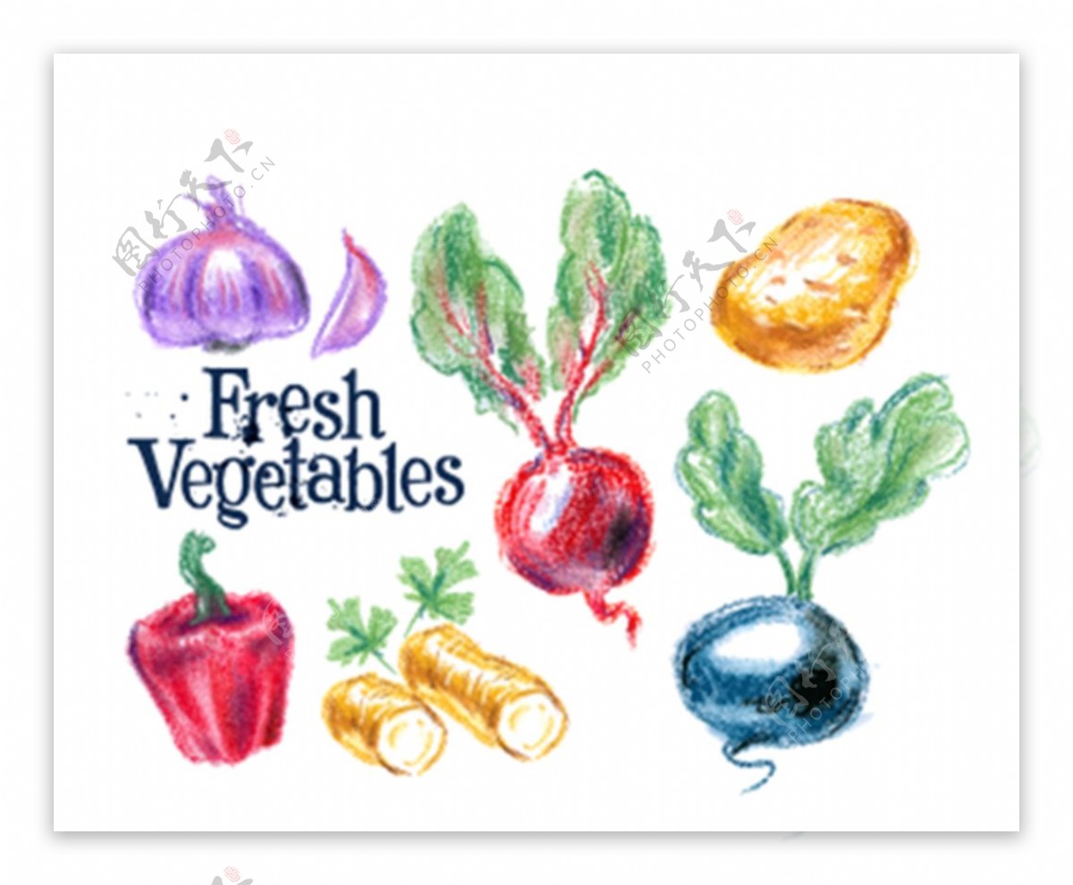 油画蔬菜蜡笔画水果蔬菜图片
